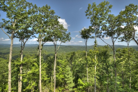 New Heights- Long range mountain view from the cabin