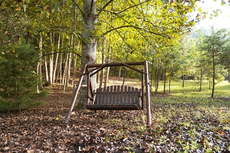 River Joy Lodge- Cedar Swing