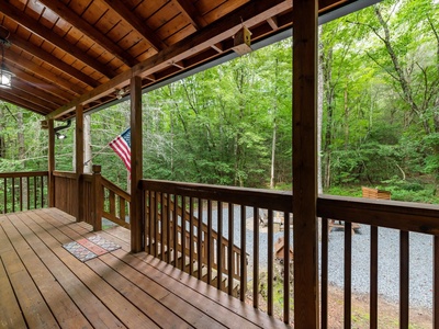 Lazy Bear Cove- Front porch view of the driveway