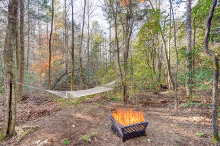 The Barn On Creeks Edge - Firepit and Hammock