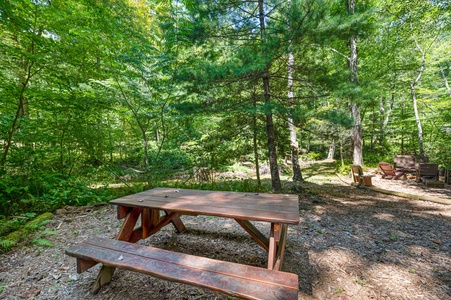 Reel Medicine - Pic Nic Table Overlooking Big Creek