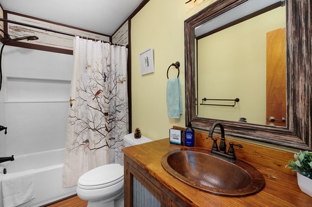 Chickadee's Lake Lookout - Shared Bathroom