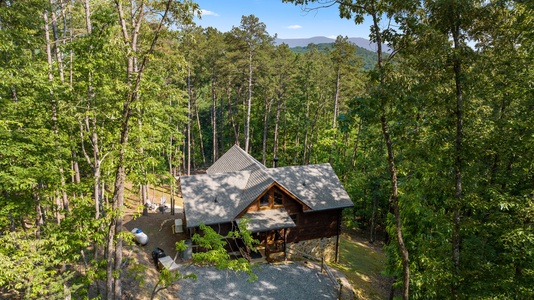 Lee's Lookout - Aerial View of Cabin