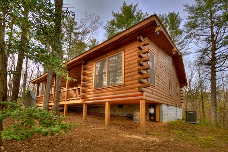 Bear Butte - Dog Friendly Cabin