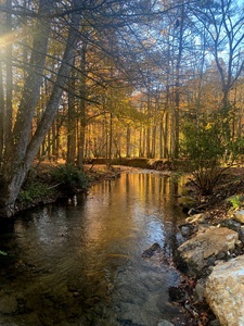 Stanley Creek Lodge - Creek