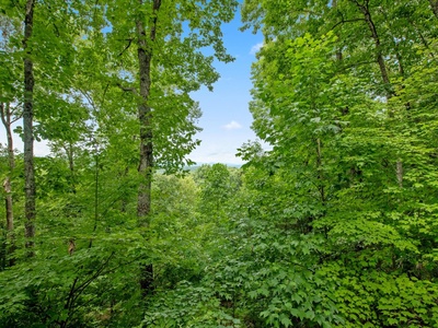 Away from Everyday: View from Front Deck