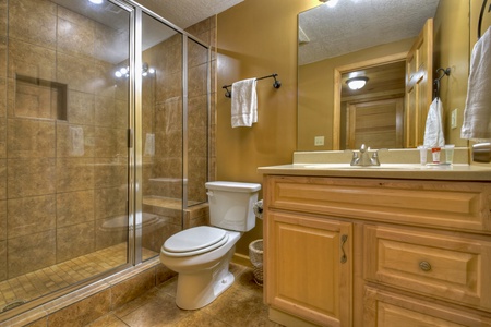 Hibernation Station- Lower level bathroom