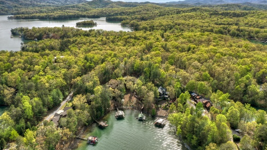 When In Rome-Aerial shot of the cabin from the lake
