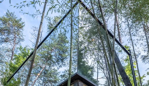 Exterior mirror house
