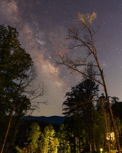 Stellara Image — not AI Enhanced