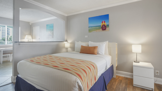 Bedroom Area - Queen Bed