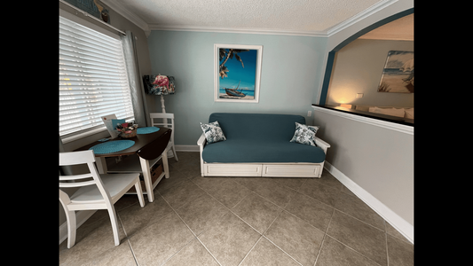 Living Area - Sleeper Futon