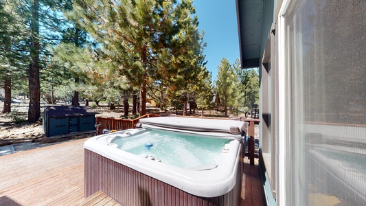 Tahoe Bear Den with Hot Tub