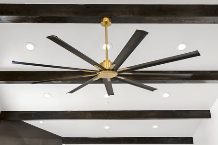 Ceiling Fan Palisades Modern Oasis