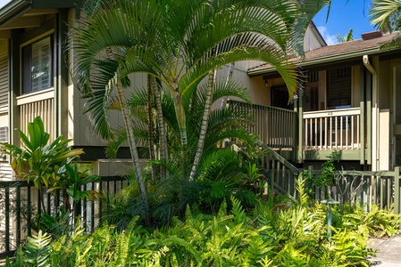 Tropical vacation rental building nestled among lush palms and ferns, offering a peaceful island escape with private balconies and natural surroundings.