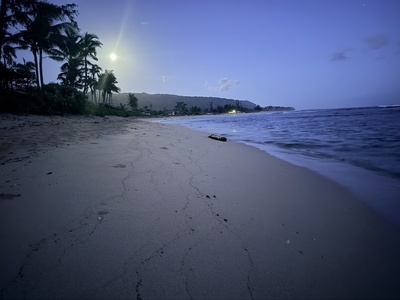 The property is located near a tranquil beachfront, where soft sands meet gentle waves as twilight settles over distant mountains and swaying palms.