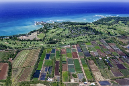 View of Kuilima Estates East and West