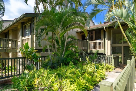 A tropical oasis welcomes you to this charming property, framed by lush palms and vibrant greenery beneath sunny skies.