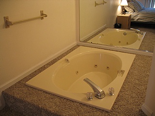 Jacuzzi Tub in Bedroom