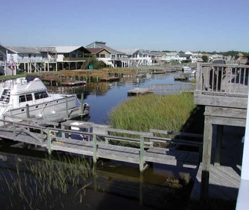 View From Deck