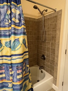 Bath - Master Tub Shower