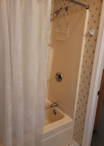 Bathroom 3 Tub/Shower Combo