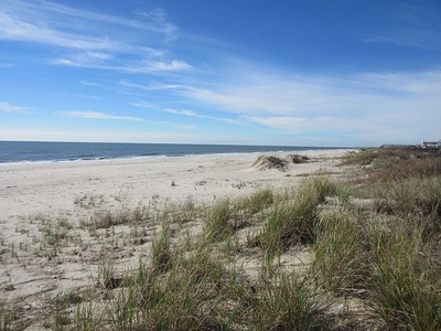 Beach in Front of House