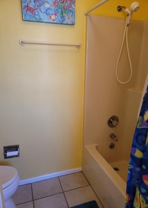 Bathroom 2 Tub/Shower Combo