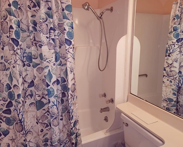 Bathroom 1 (Shower/Tub)