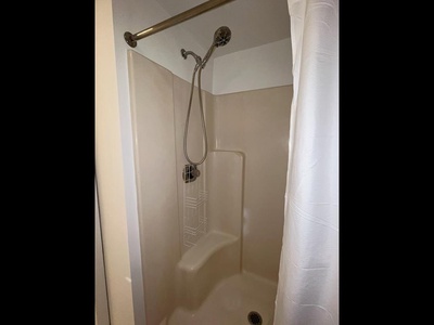 Master Bath Shower 