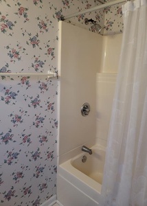 Bathroom Tub/Shower Combo