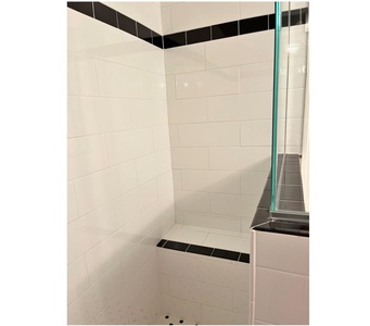 Master Bath Shower 