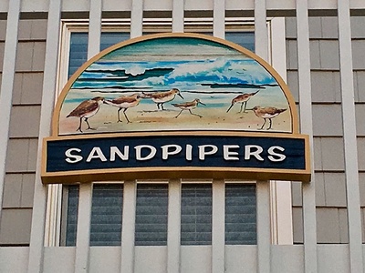 Sandpipers