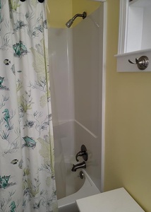 Bathroom 2 Tub/Shower Combo