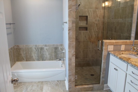 Master Bath Tub and Shower