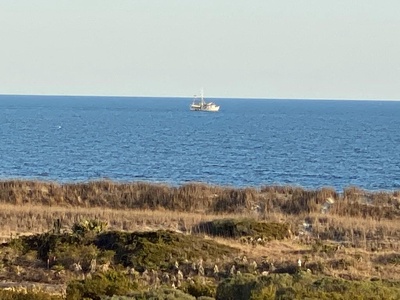 Shrimp Boat