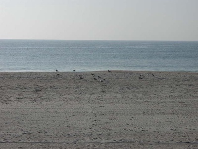 Beach in Front of House