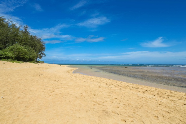 Tunnels beach located steps from your back yard