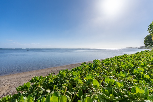 Lush greenery meets the blue ocean waters.