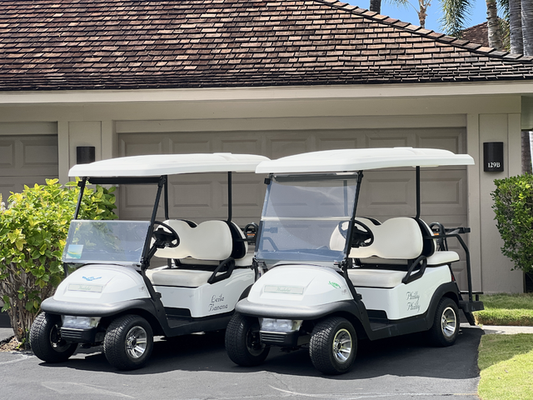 The villa offers two 2-seater golf carts for your use!