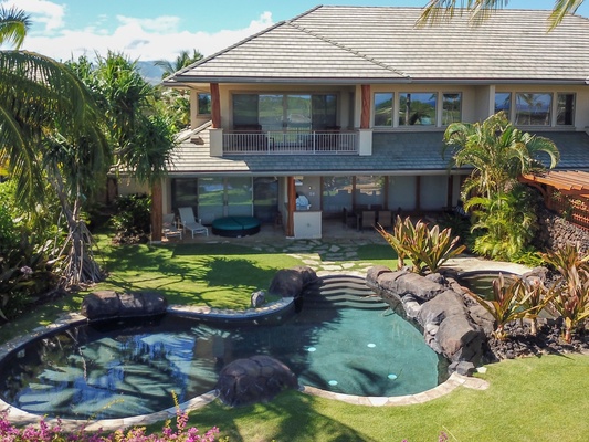 Coconut Palms Provide Dreamy Morning Shade on the Private Pool