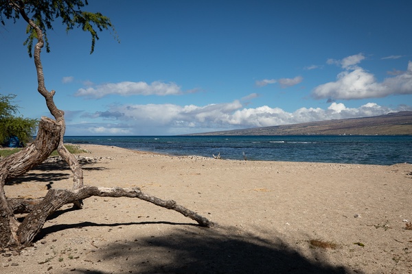 The beach is just steps away