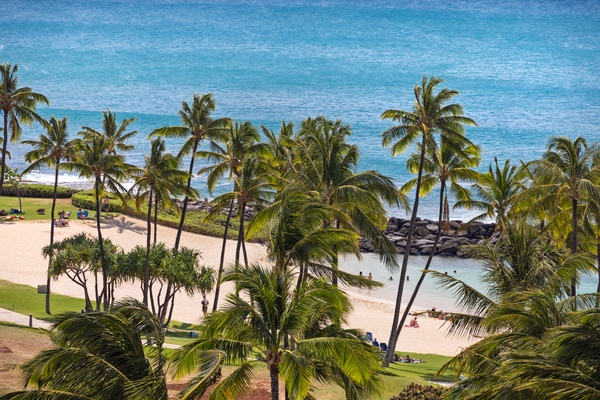 The lagoon is the perfect spot to relax under the trees and enjoy the beach..