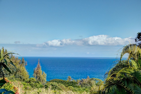 Ocean views from the property