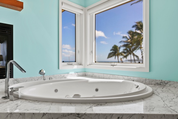 Beach and Ocean view from the jacuzzi