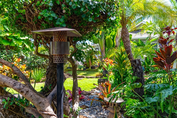 Surrounded by lush tropical flora.