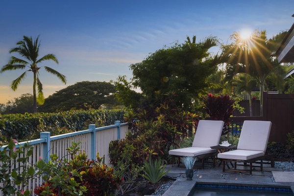 Tropical views from the pool