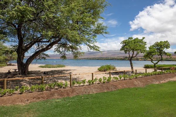 Lush greenery and feel the ocean breeze by the beach.