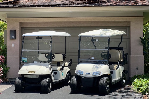 This rental comes with TWO 4-seater golf carts!