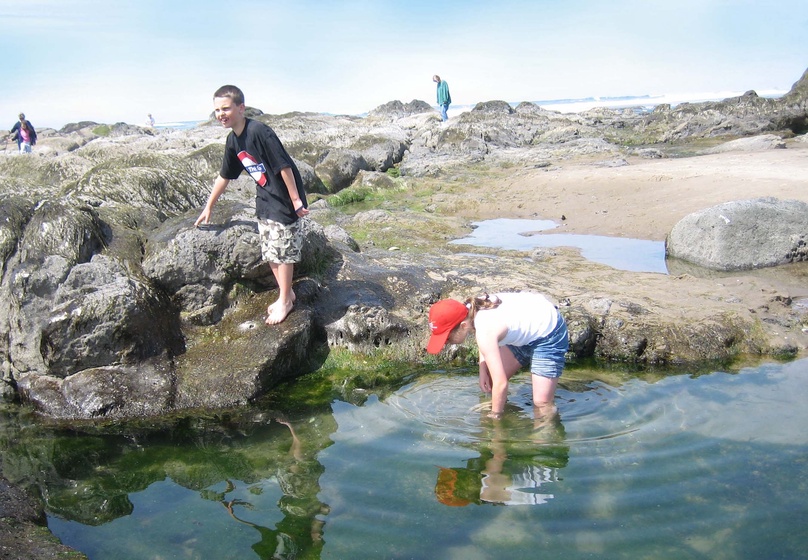 35 - ORC - Tide Pools & Kids (Blue Sky) (Cropped) 0798 (Blue Sky)